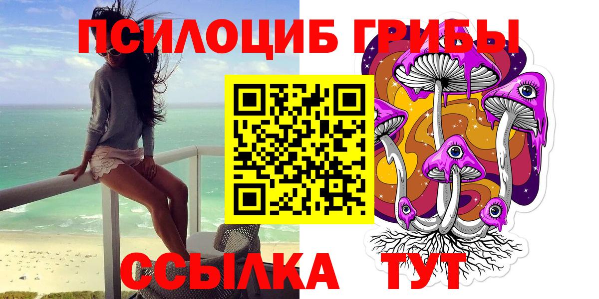 Галлюциногенные грибы MAGIC MUSHROOMS  Вход с VPN  Кириши 