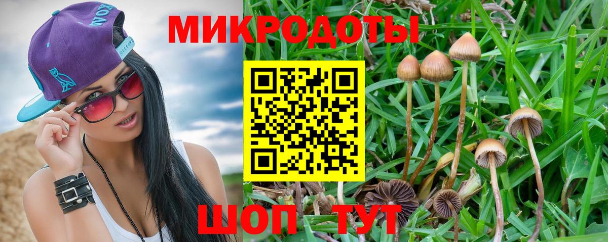 Галлюциногенные грибы ЛСД Кириши